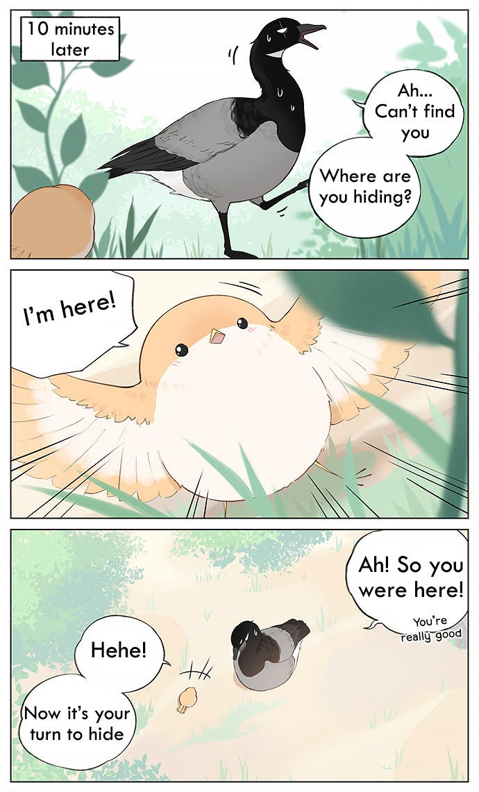 Southern Bird and Northern Bird Ch. 33 Hide and Seek